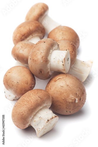 Portabello mushrooms on white background