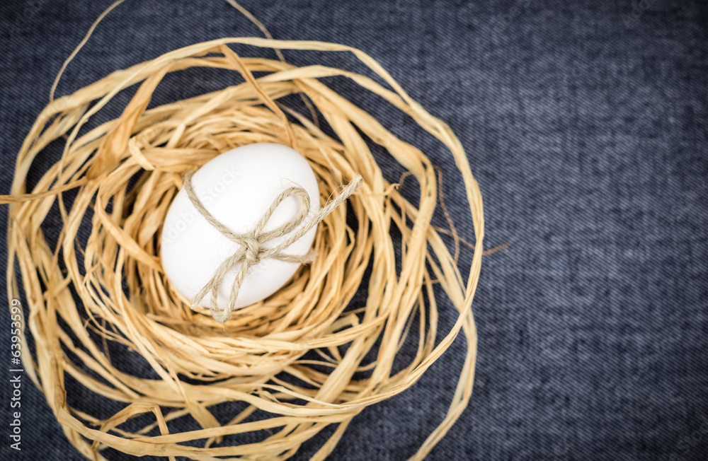 Egg in nest blue background, still life, your text, unusual Egg in nest blue background, still life, your text, unusual