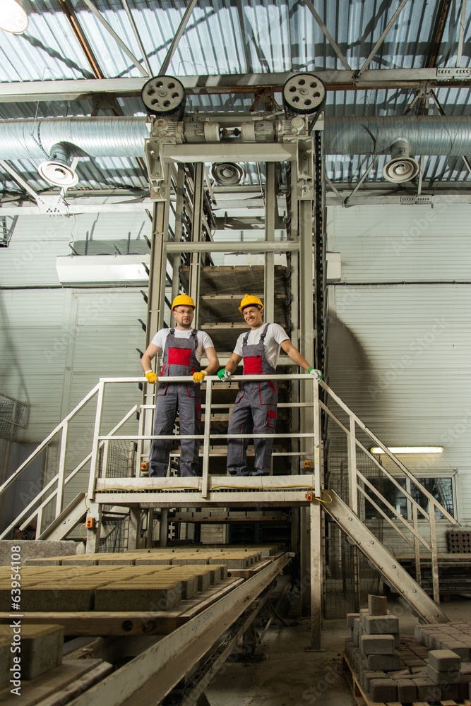 Naklejka premium Two men in a safety hats on a factory
