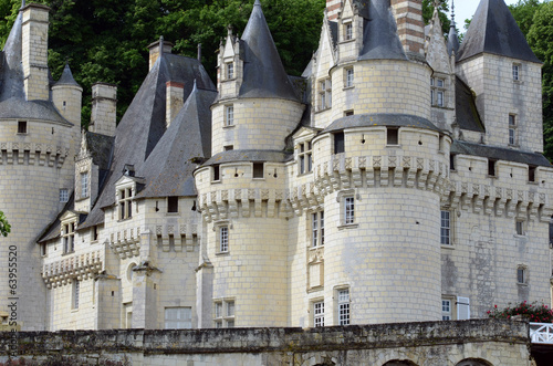 Castel of Rigny-Usse. Loire Valley, France photo