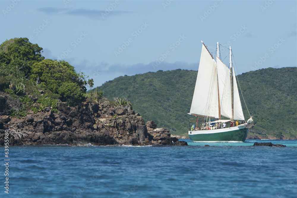 Fototapeta premium Saint Vincent and The Grenadines Tobago Cays Caribbean 70