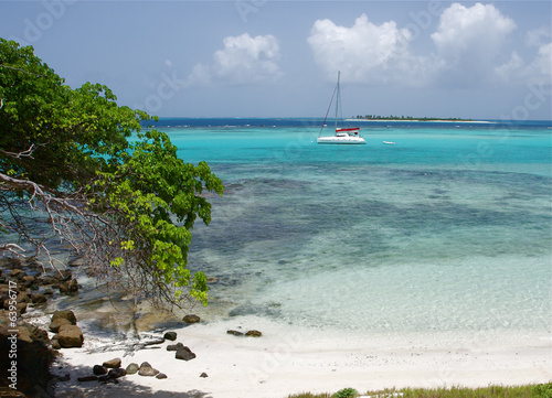 Saint Vincent and The Grenadines Tobago Cays Caribbean 25 photo