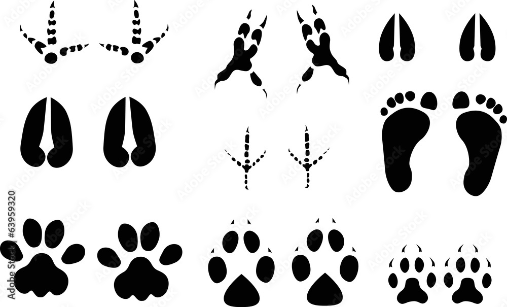 set of nine animals and birds black tracks set of nine animals and birds black tracks