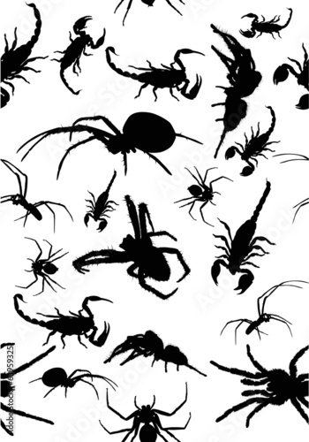 seamles background from black spiders and scorpions © Alexander Potapov