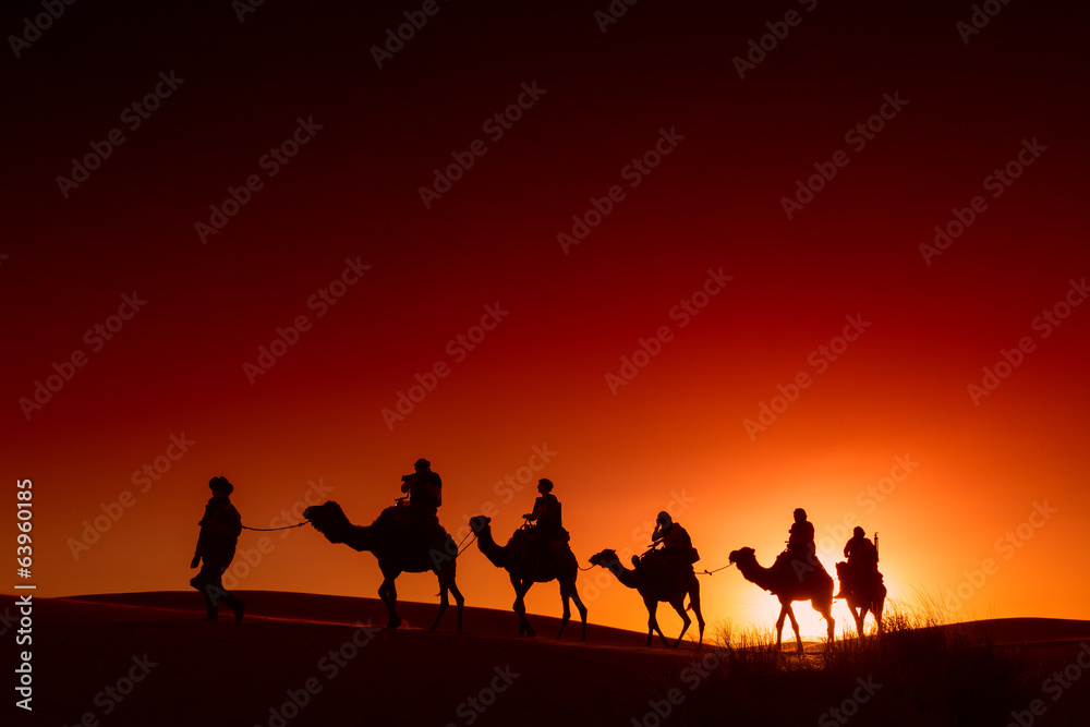 Fototapeta premium Camel caravan going through the desert