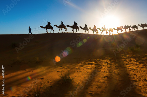Fotografie Camel caravan going through the desert