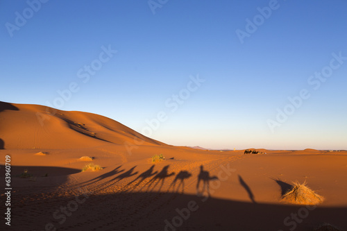 Shadows of camel caravan in desert Sahara, Morocco, Africa