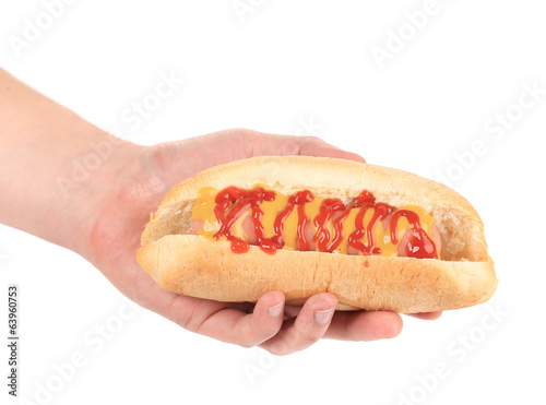 Hand holding hot dog.