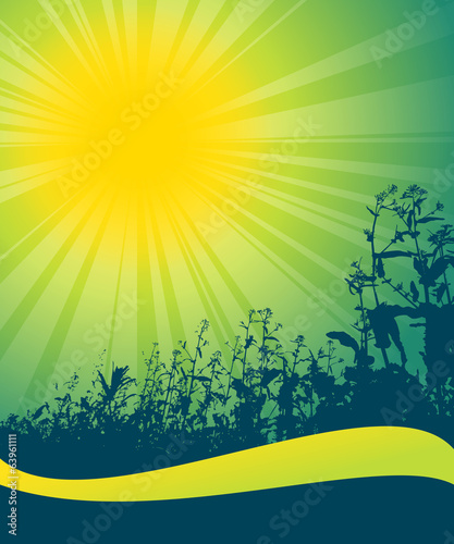 spring sun theme text