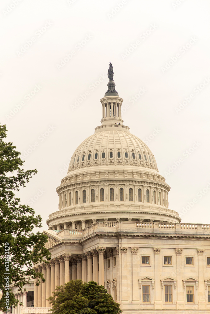 Washington D.C. mit Seitenansicht des Capitol