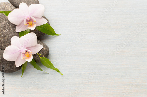 Fototapeta Naklejka Na Ścianę i Meble -  Orchid.