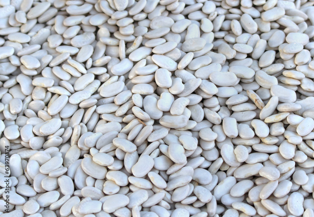 White kidney beans White kidney beans