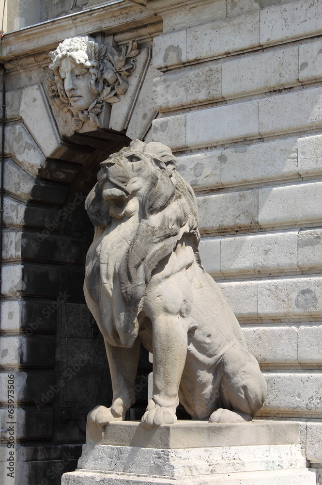 Lion statue in Budapest Royal Palace