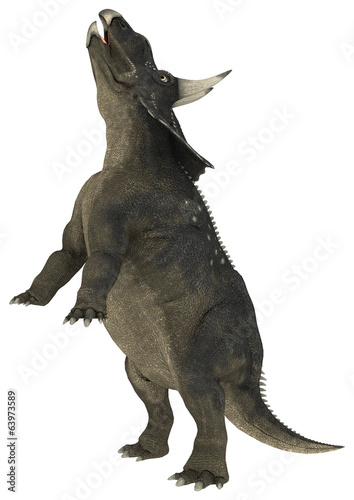 Dinosaur Diceratops