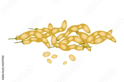 A Stack of Dried Soybeans on White Background