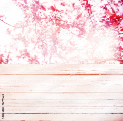 High key background of pink spring blossom