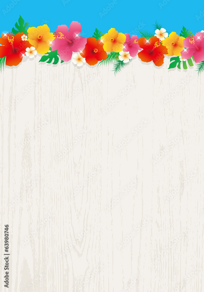 Obraz premium ハイビスカス