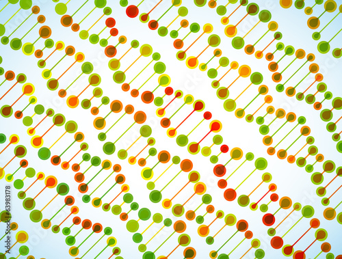 beautiful structure of the DNA molecule