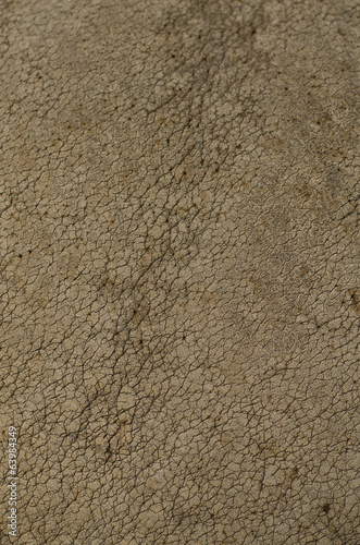 Rhino skin texture background