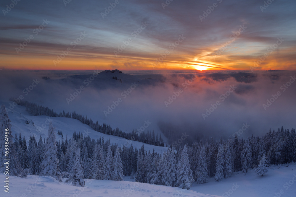 Winter colorful sunrise over the clouds with firs full of snow