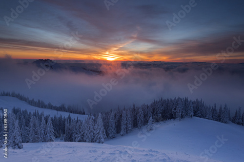 Winter colorful sunrise over the clouds with firs full of snow © danmir12