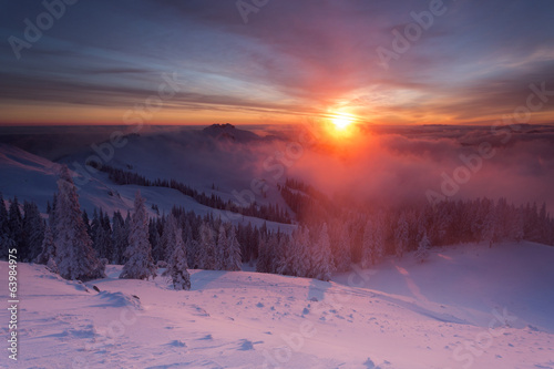Winter colorful sunrise over the clouds with firs full of snow