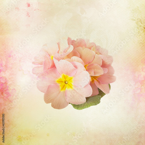 Card with Flower buds on watercolor background