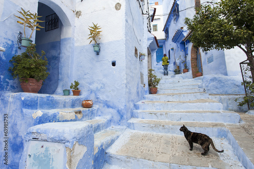 Street in medina of blue town Chefchaouen, Morocco © danmir12