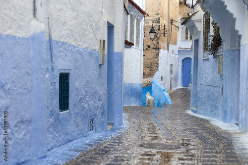 Street in medina of blue town Chefchaouen, Morocco © danmir12