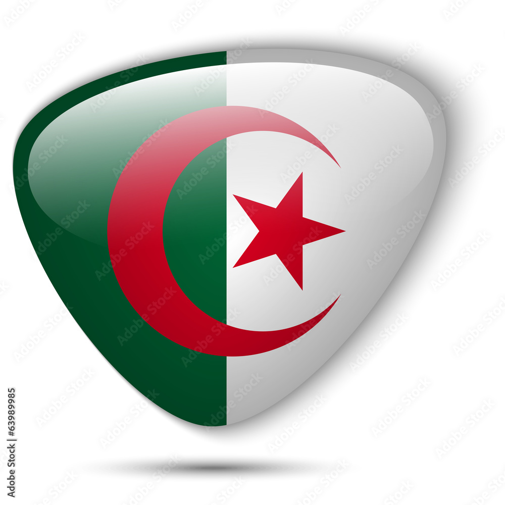 Algeria Flag Glossy Button Algeria Flag Glossy Button