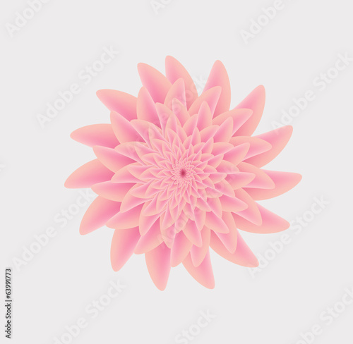Fototapeta Naklejka Na Ścianę i Meble -  Vector dahlia flower