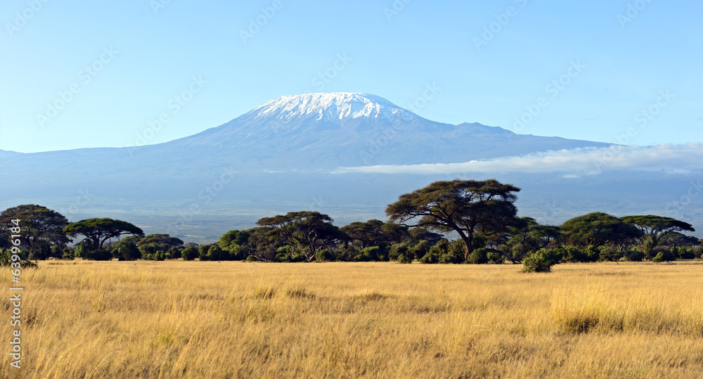 Obraz premium Park Narodowy Amboseli