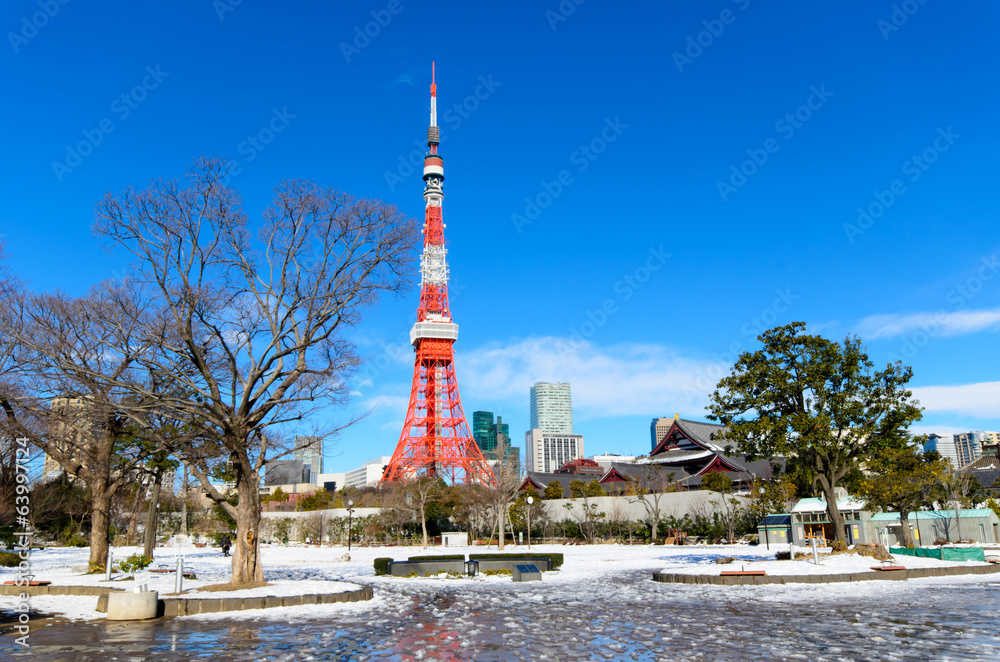 Obraz premium Tokyo Tower