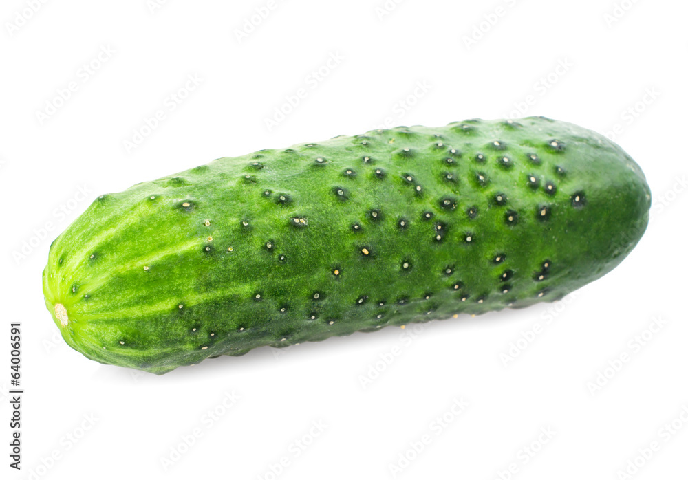 Cucumbers Cucumbers