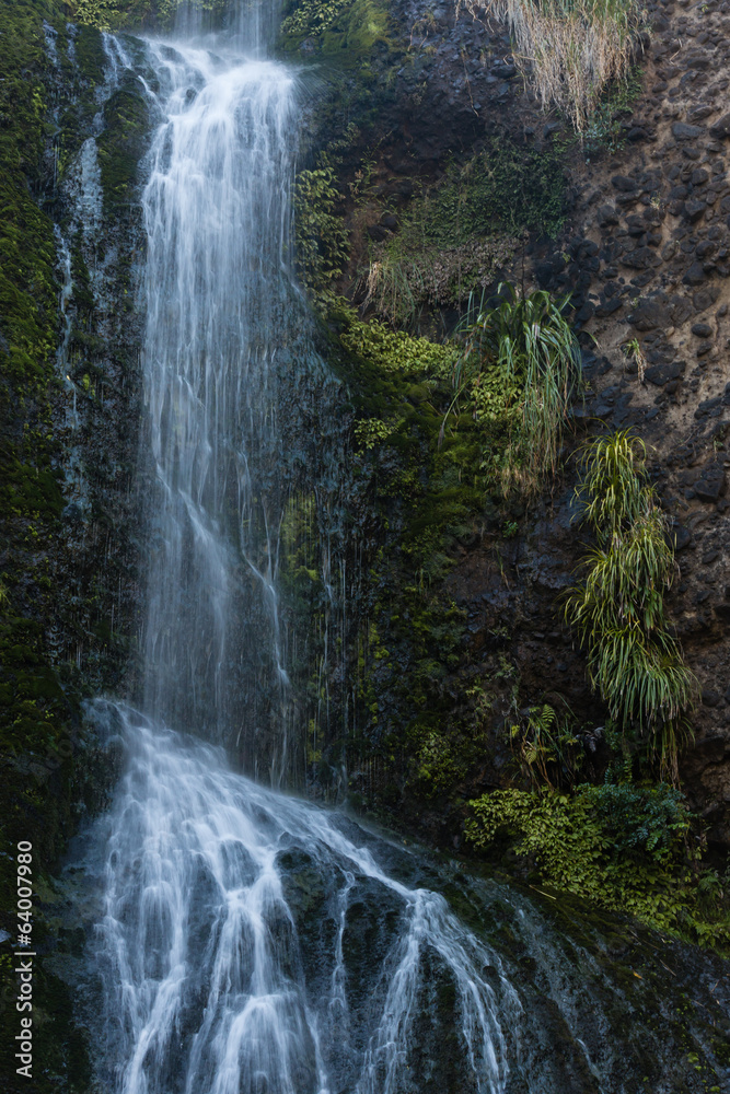 Kitekite falls, Waitakere Ranges, New Zealand Kitekite falls, Waitakere Ranges, New Zealand
