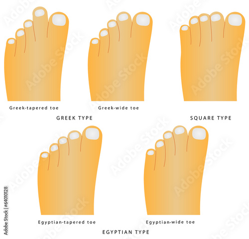 The most common variants of the foot and toes