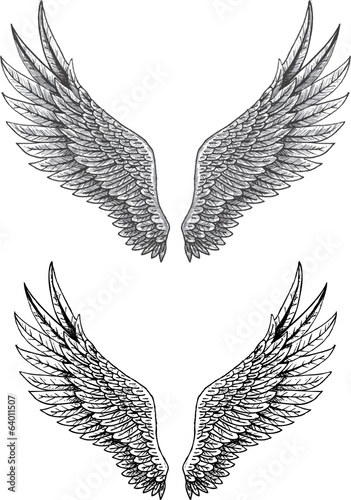Wings tatoo