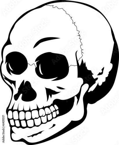 Black and white human skull