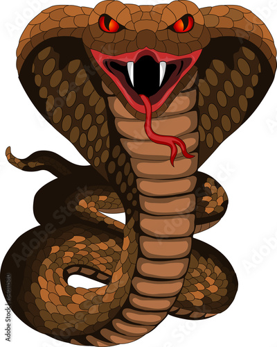 Cobra tattoo