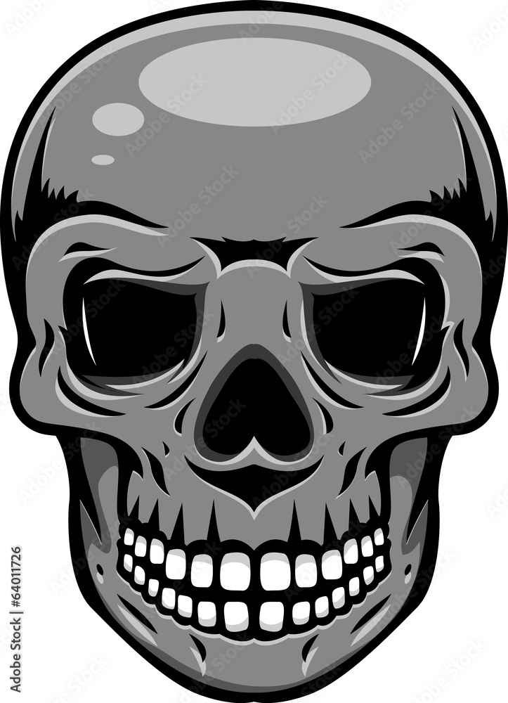 Black and white human skull Black and white human skull