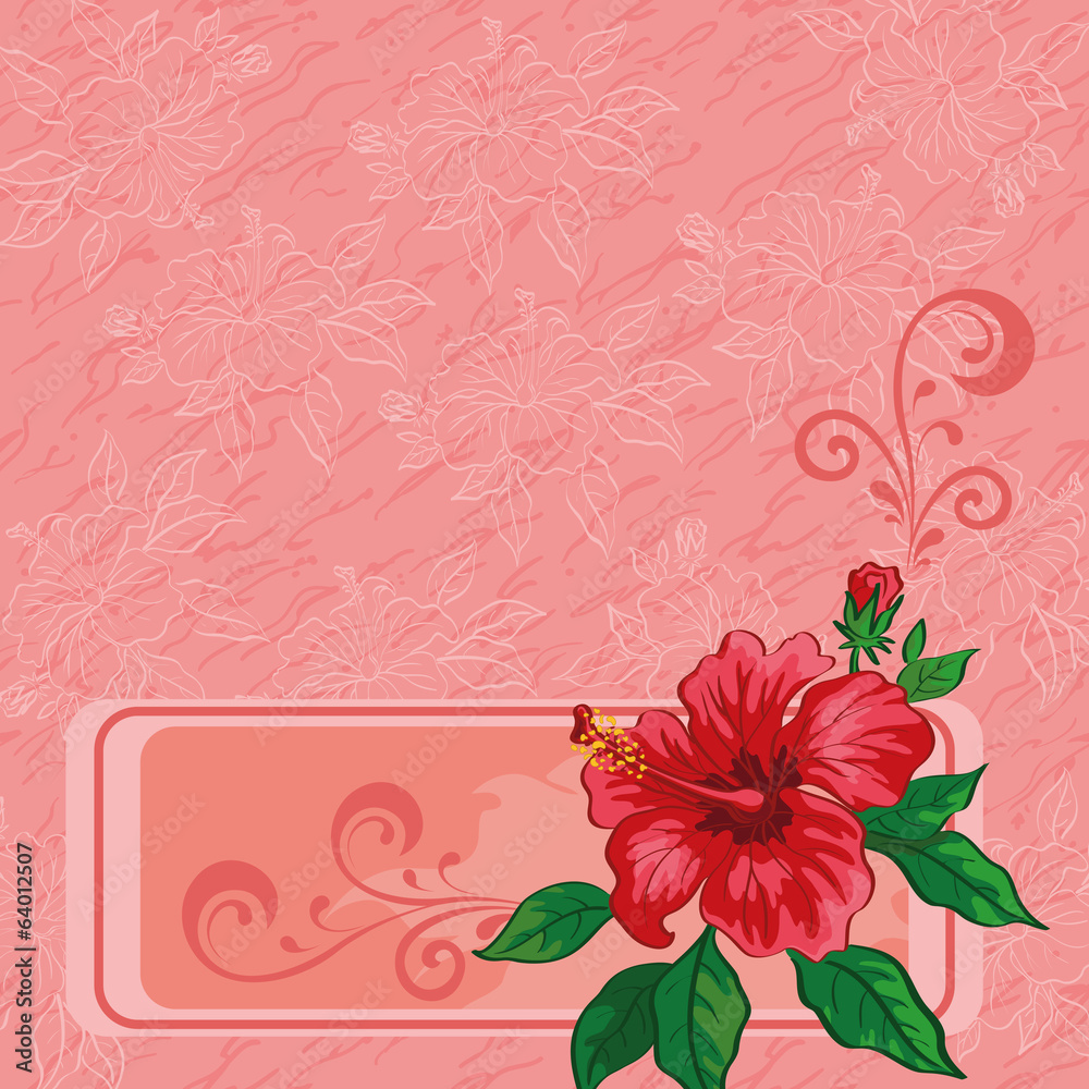Floral background, hibiscus and contours
