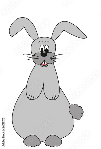 Hase