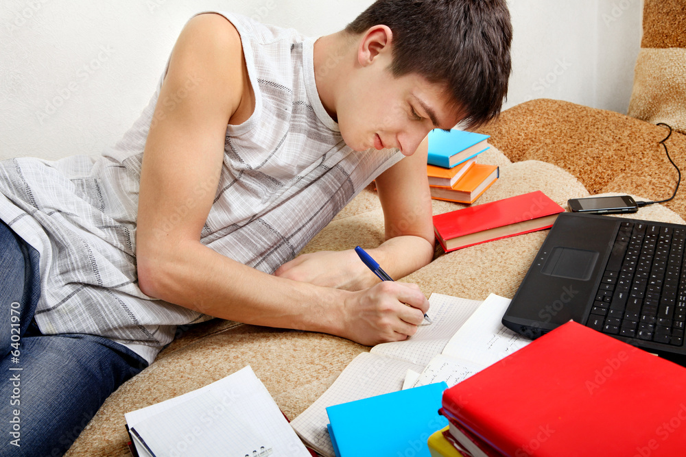 Teenager doing Homework Teenager doing Homework