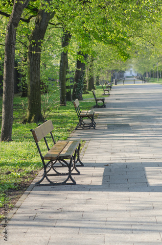 Fototapet wooden benches in park