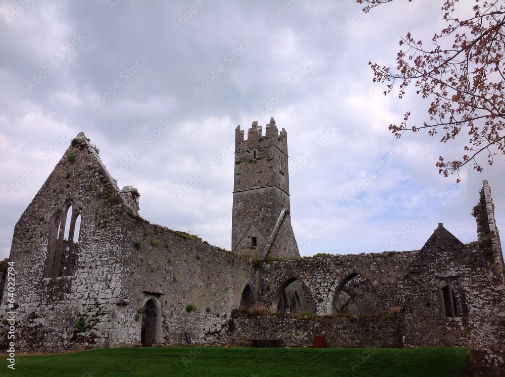 franciscan friary ruins in adare