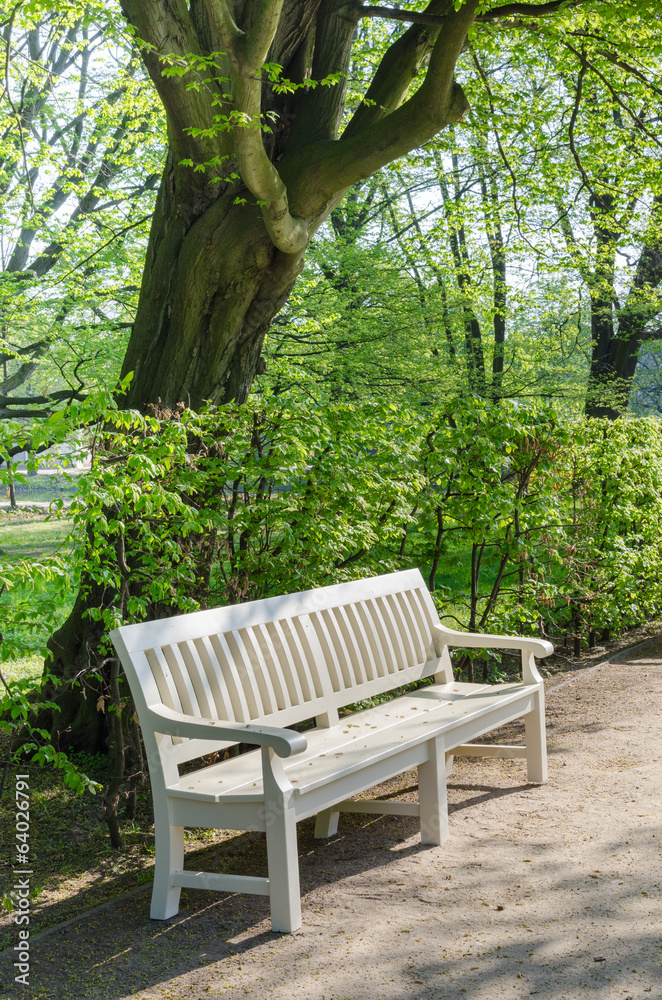wooden benches in Lazienki park