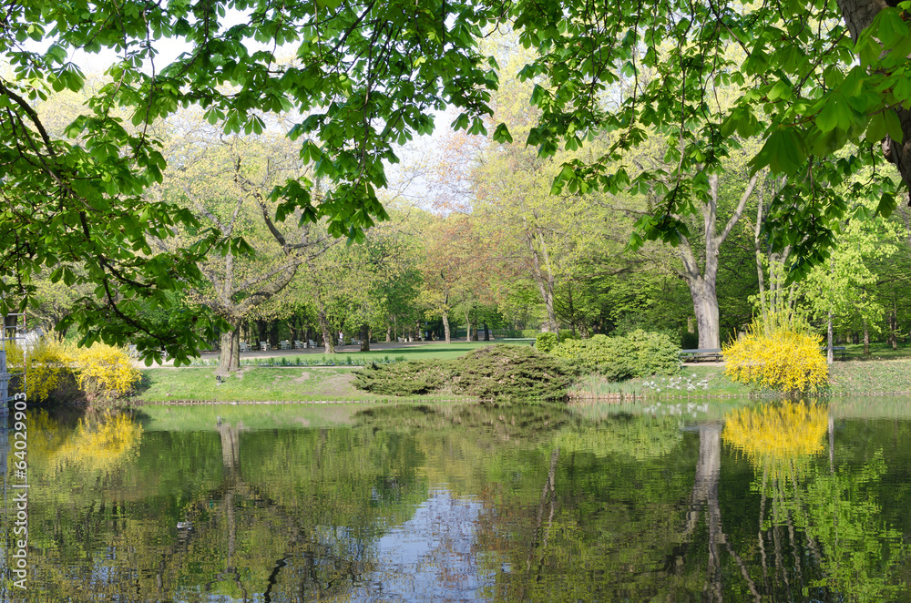 pond in Lazienki Park in Warsaw