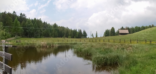 Walking to Hafling - Avelengo into the Nature photo