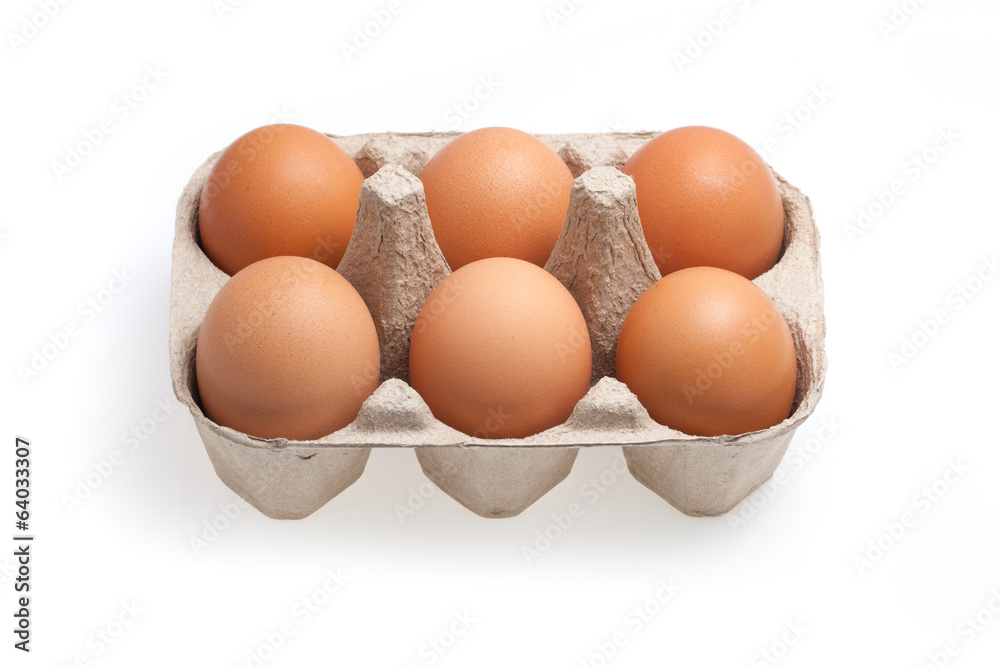 the six brown eggs isolated on white background the six brown eggs isolated on white background