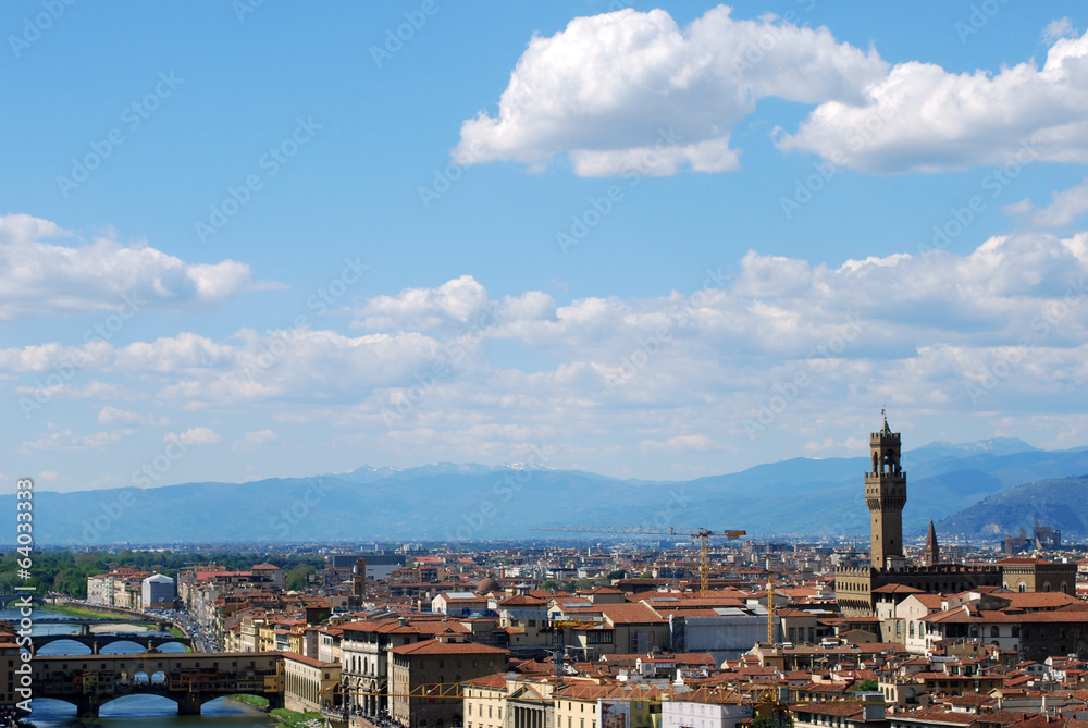 Fototapeta premium Florence, city of art, history and culture - Tuscany - Italy 124